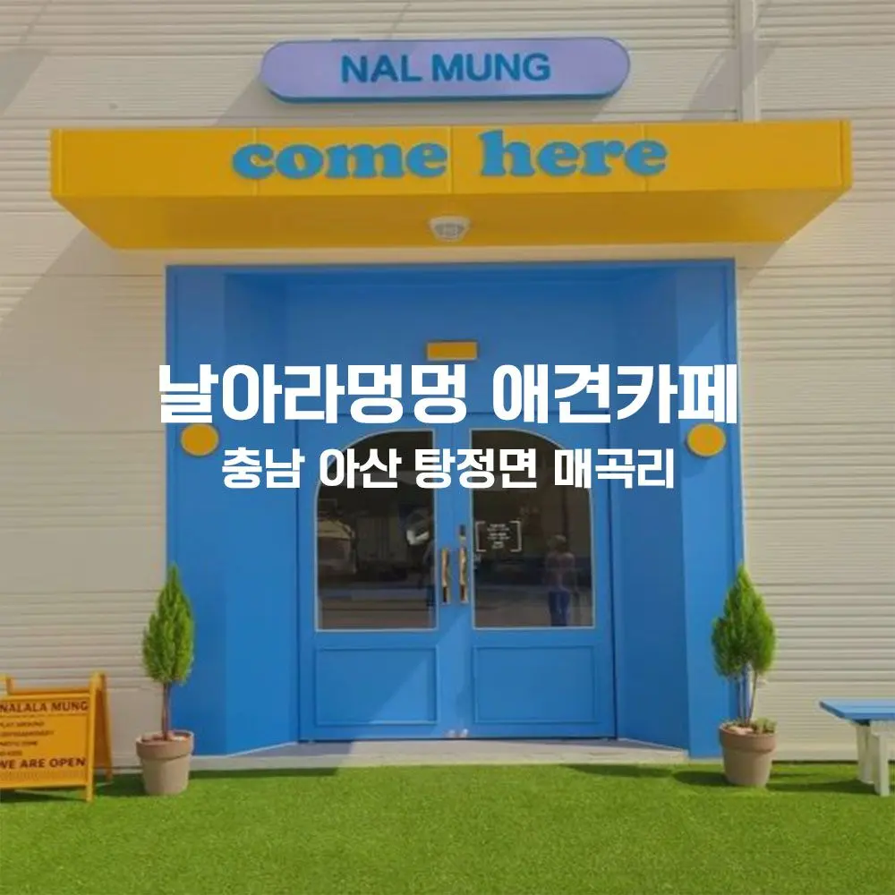 날아라멍멍 애견카페 무인카페 설치사례 (충남 아산시 탕정면)